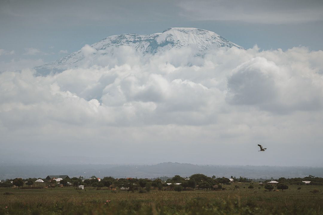 Jackson Groves Mt Kilimanjaro Lower Slope Zone