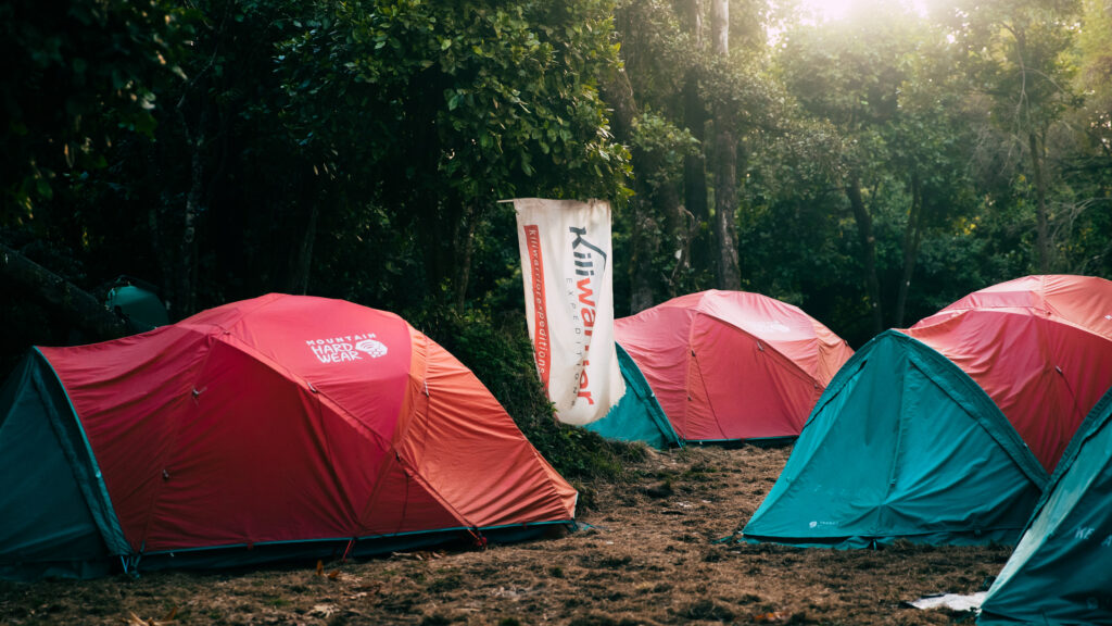 Kiliwarrior Expeditions campsite at Forest Camp