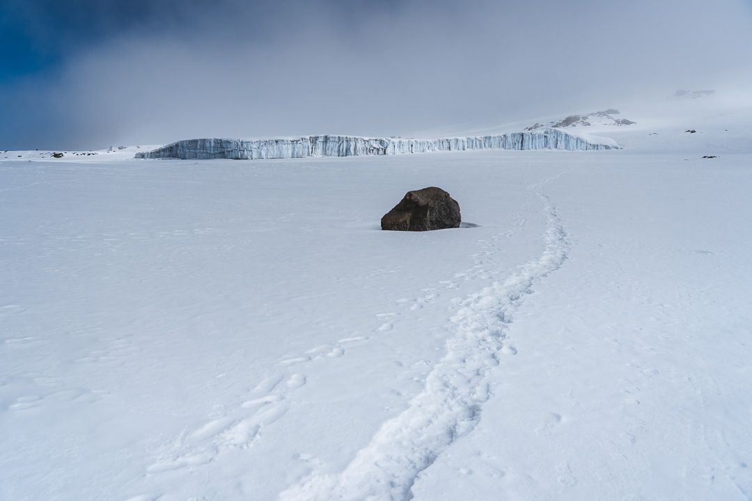Walking through Kilimanjaro's arctic zone