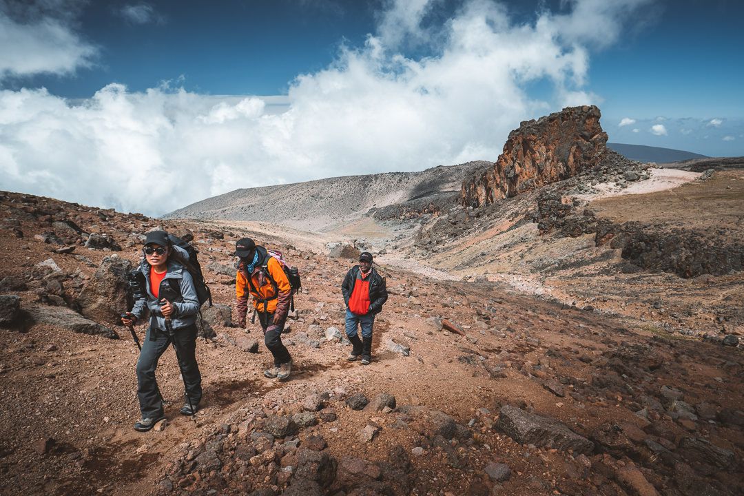 Walking through Kilimanjaro's alpine desert zone